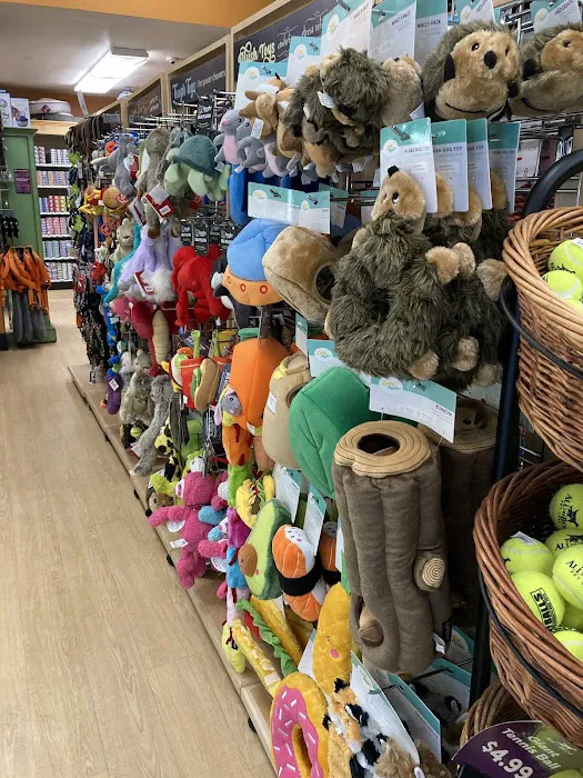 All The Best Pet Care - Queen Anne Picture 4