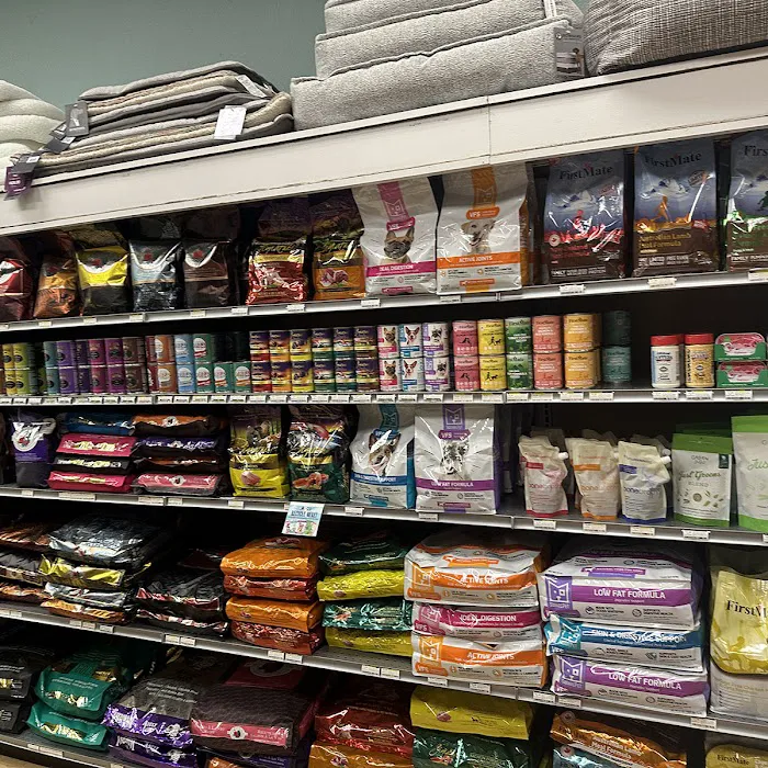All The Best Pet Care - Queen Anne Picture 10