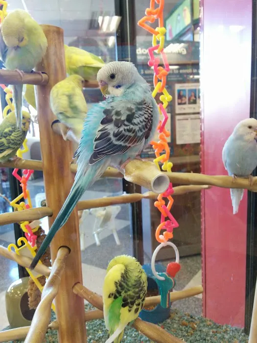 Petco Picture 5