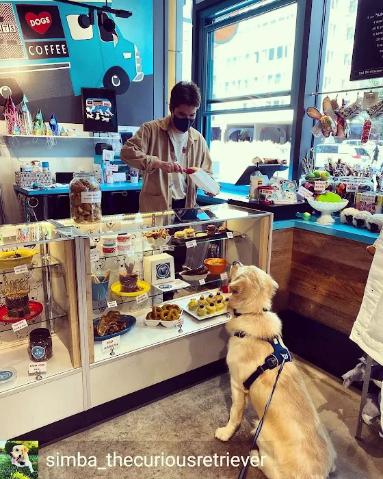 The Seattle Barkery Picture 3