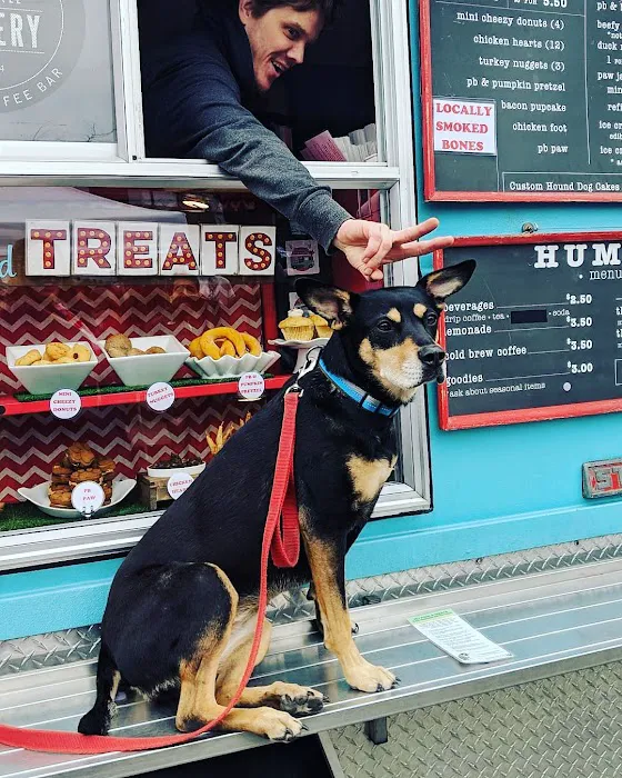 The Seattle Barkery Picture 5