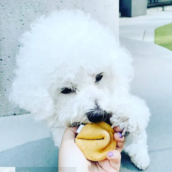 The Seattle Barkery Picture 9