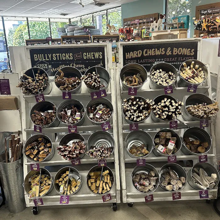 All The Best Pet Care - Wallingford Picture 3