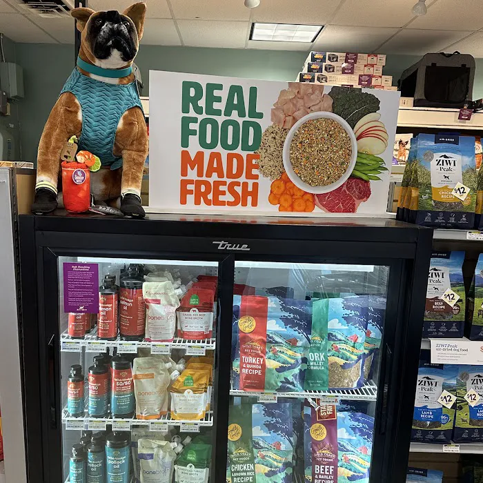 All The Best Pet Care - Wallingford Picture 7
