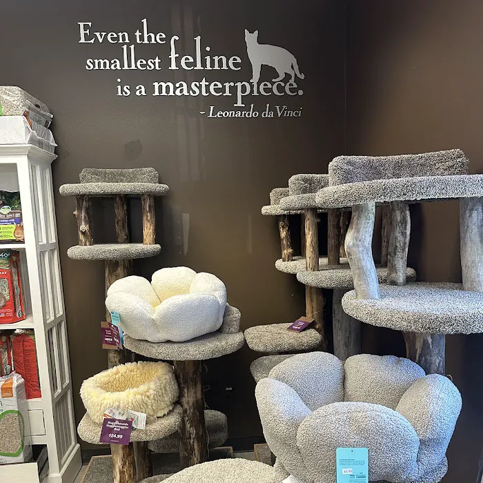 All The Best Pet Care - Wallingford Picture 6