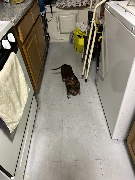 Scarsdale Animal Hospital Picture 1