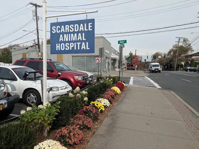 Scarsdale Animal Hospital Picture 7