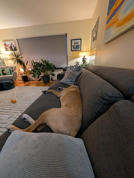 All The Best Pet Care - Greenwood Picture 5