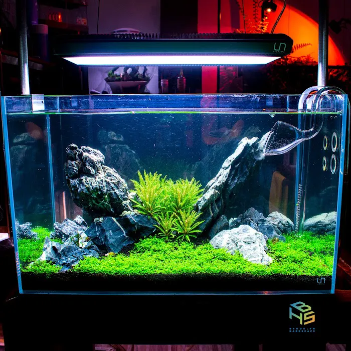 Brooklyn Hardscape Picture 2