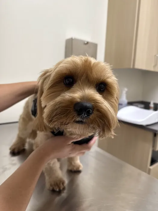 Vetco Total Care Animal Hospital Picture 4