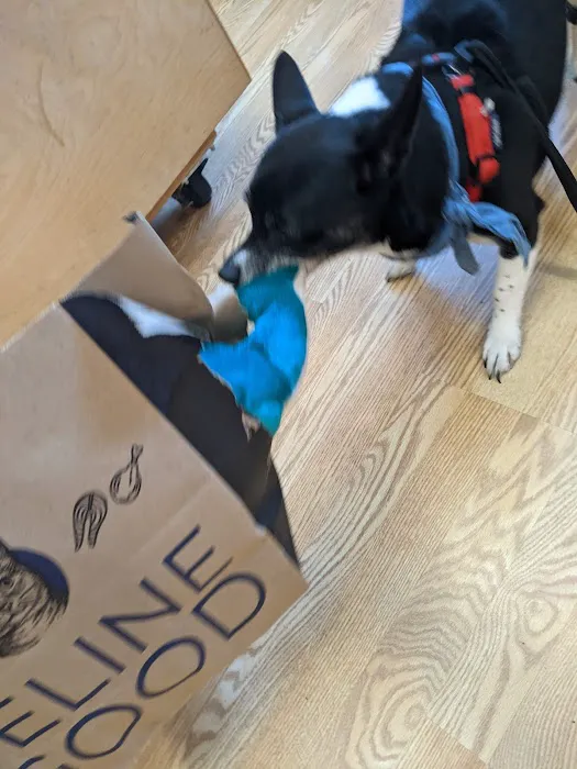 All The Best Pet Care - Madison Picture 1