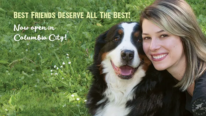 All The Best Pet Care - Madison Picture 8