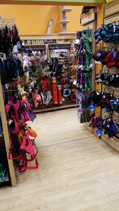 All The Best Pet Care - Madison Picture 3