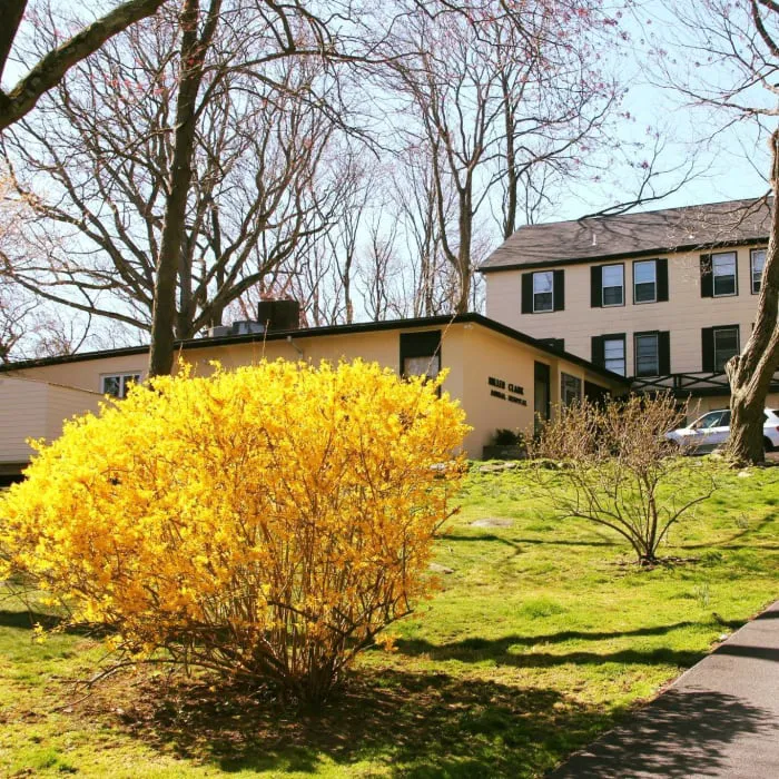 Miller Clark Animal Hospital Picture 8