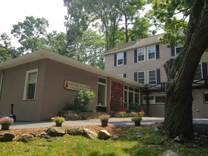 Miller Clark Animal Hospital Picture 1
