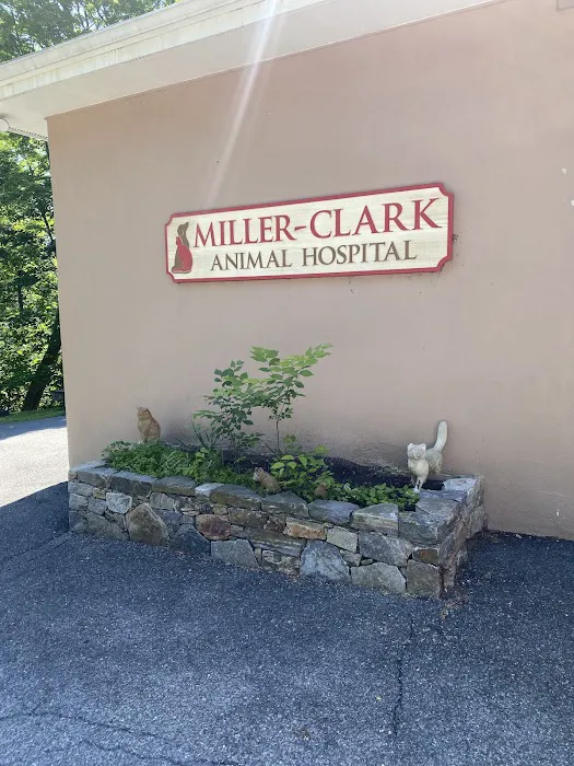 Miller Clark Animal Hospital Picture 2