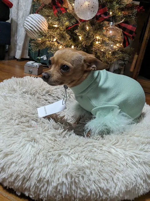 Miller Clark Animal Hospital Picture 7