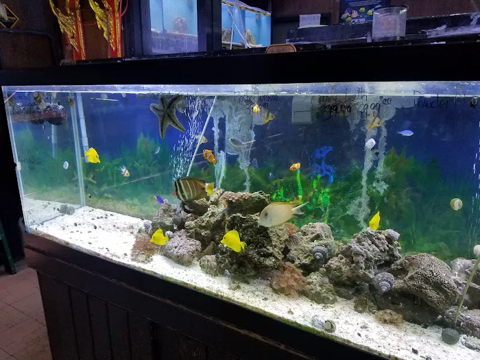 Little Amazon Fish & Pet Picture 3