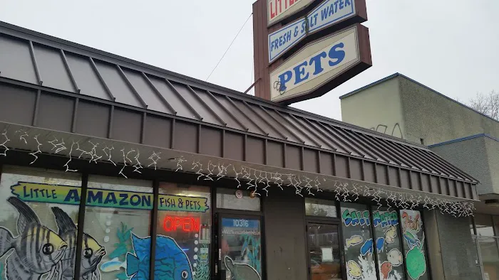 Little Amazon Fish & Pet Picture 2