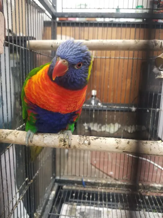 Little Amazon Fish & Pet Picture 1