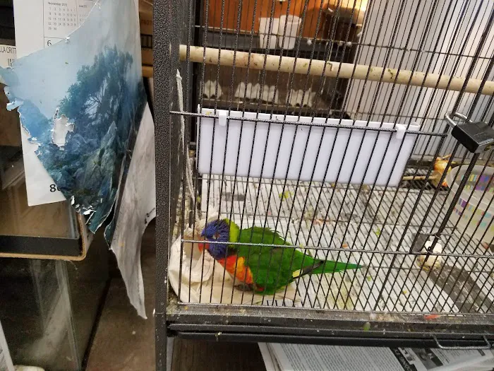 Little Amazon Fish & Pet Picture 7