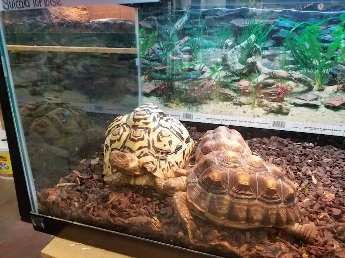 Little Amazon Fish & Pet Picture 10