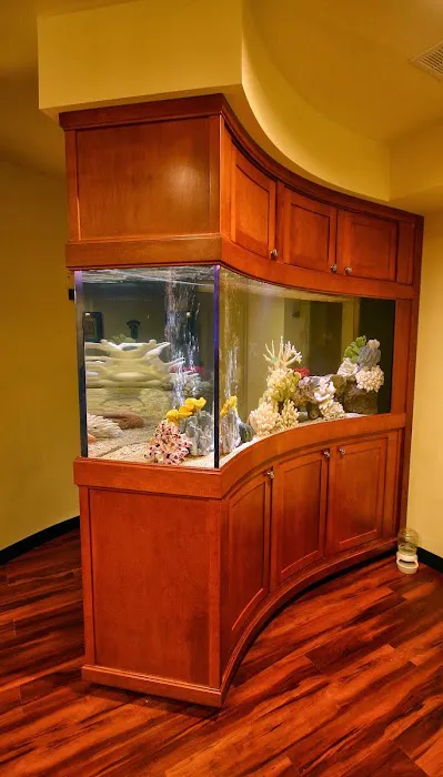 Aquarium Concepts Picture 1