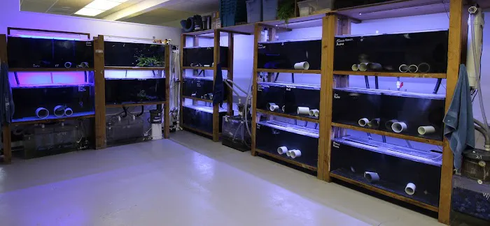 Aquarium Concepts Picture 6