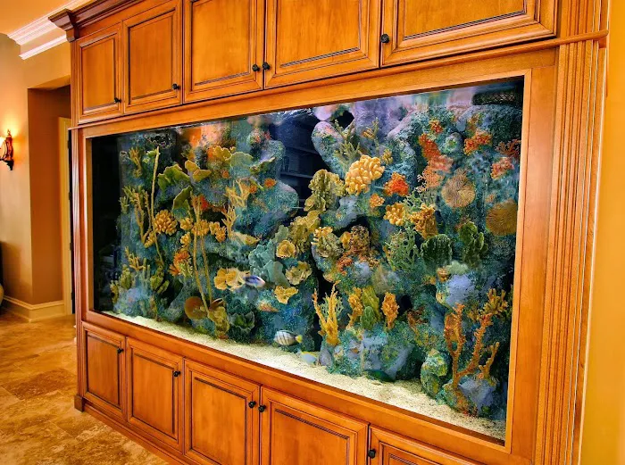 Aquarium Concepts Picture 7