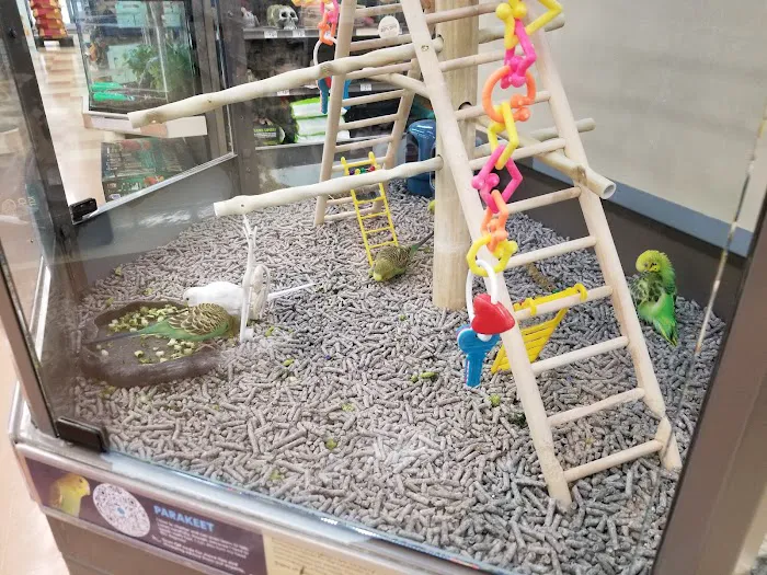 Petco Picture 6