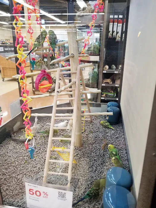 Petco Picture 8