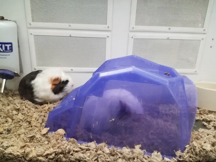 Petco Picture 10