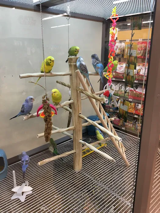 Petco Picture 2