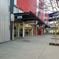 Petco ico