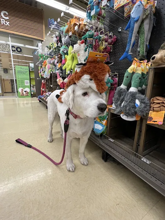 Petco Picture 7