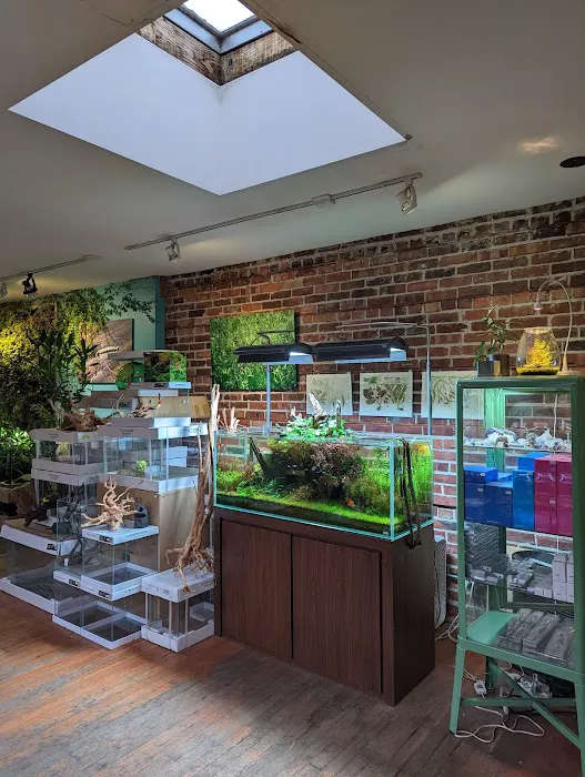 Aquarium Zen, LLC Picture 7