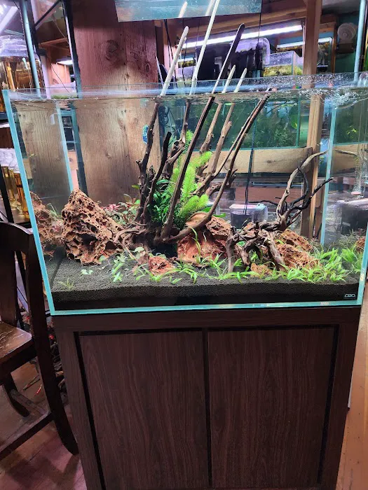 Aquarium Zen, LLC Picture 2
