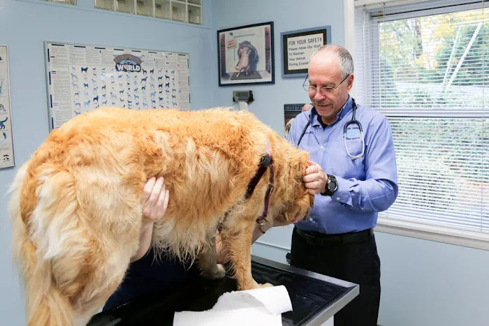 Rye Harrison Veterinary Hospital Picture 5
