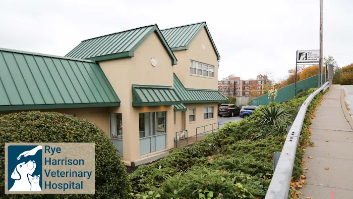 Rye Harrison Veterinary Hospital Picture 1