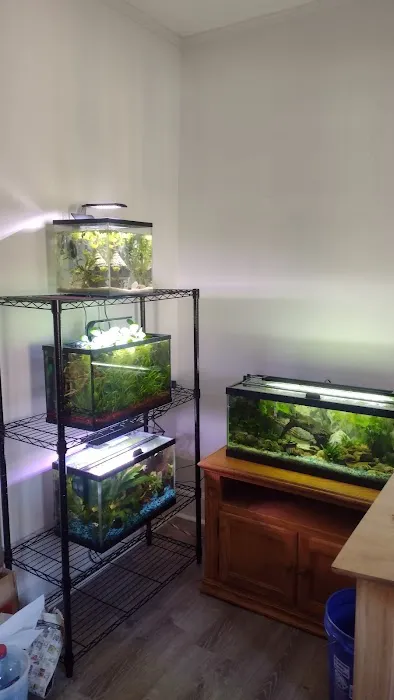 Aquarium Co-op Picture 8
