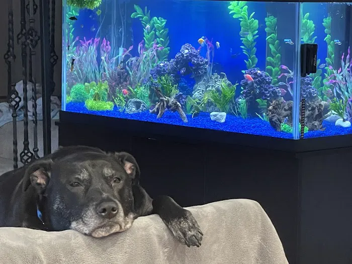 Aquarium Co-op Picture 3
