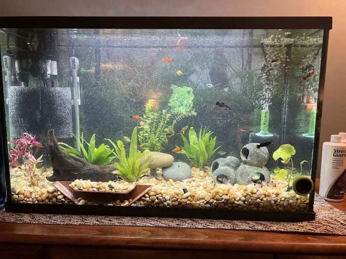 Aquarium Co-op Picture 2