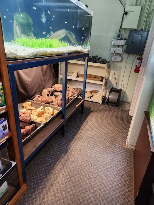 Aquarium Co-op Picture 4