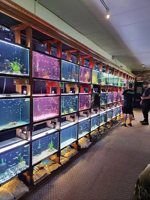Aquarium Co-op Picture 1