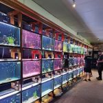 Aquarium Co-op