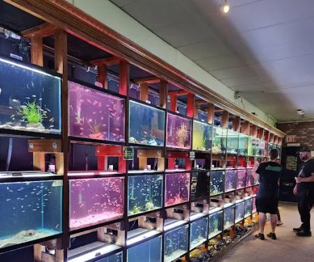 Aquarium Co-op