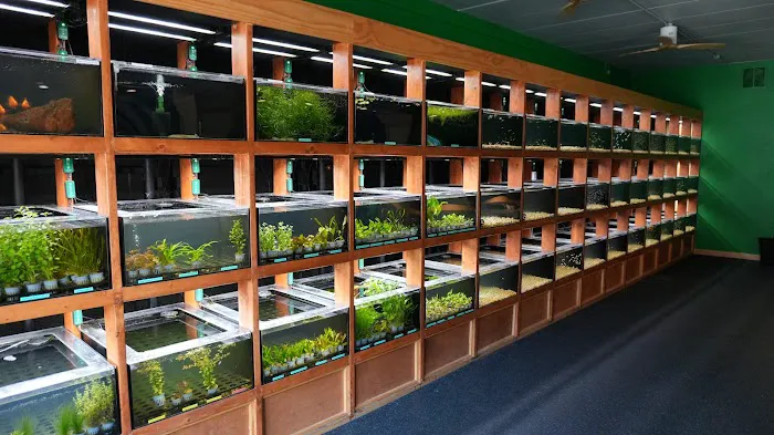 Aquarium Co-op Picture 6