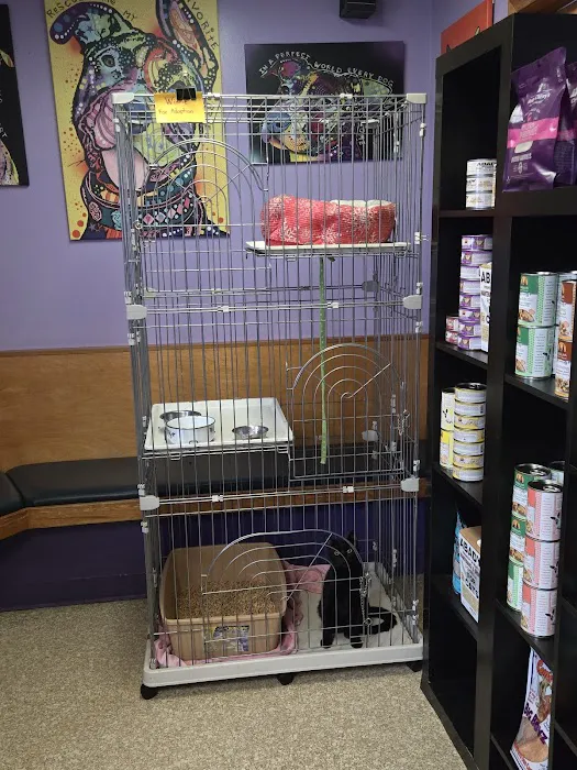 Natural Vet for Pets P.C. Picture 1