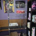 Natural Vet for Pets P.C.