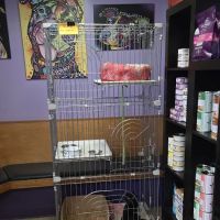 Natural Vet for Pets P.C. ico